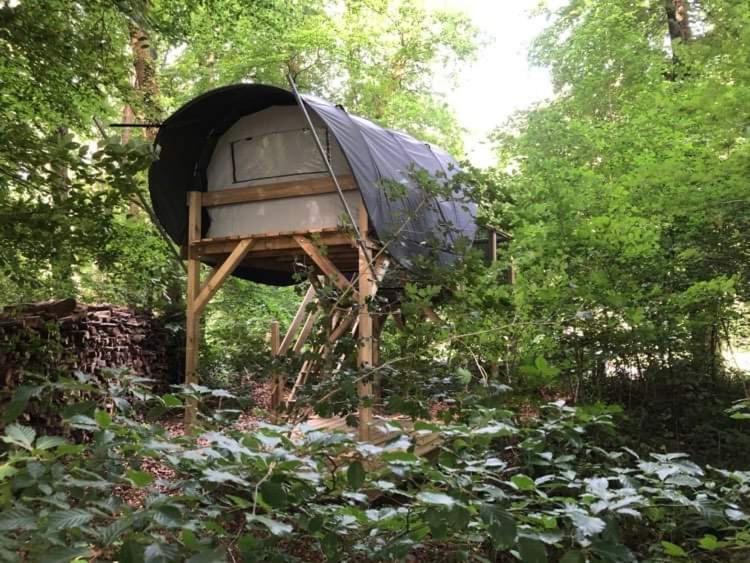 Camping Le Canada-Insolite Chiny Ngoại thất bức ảnh